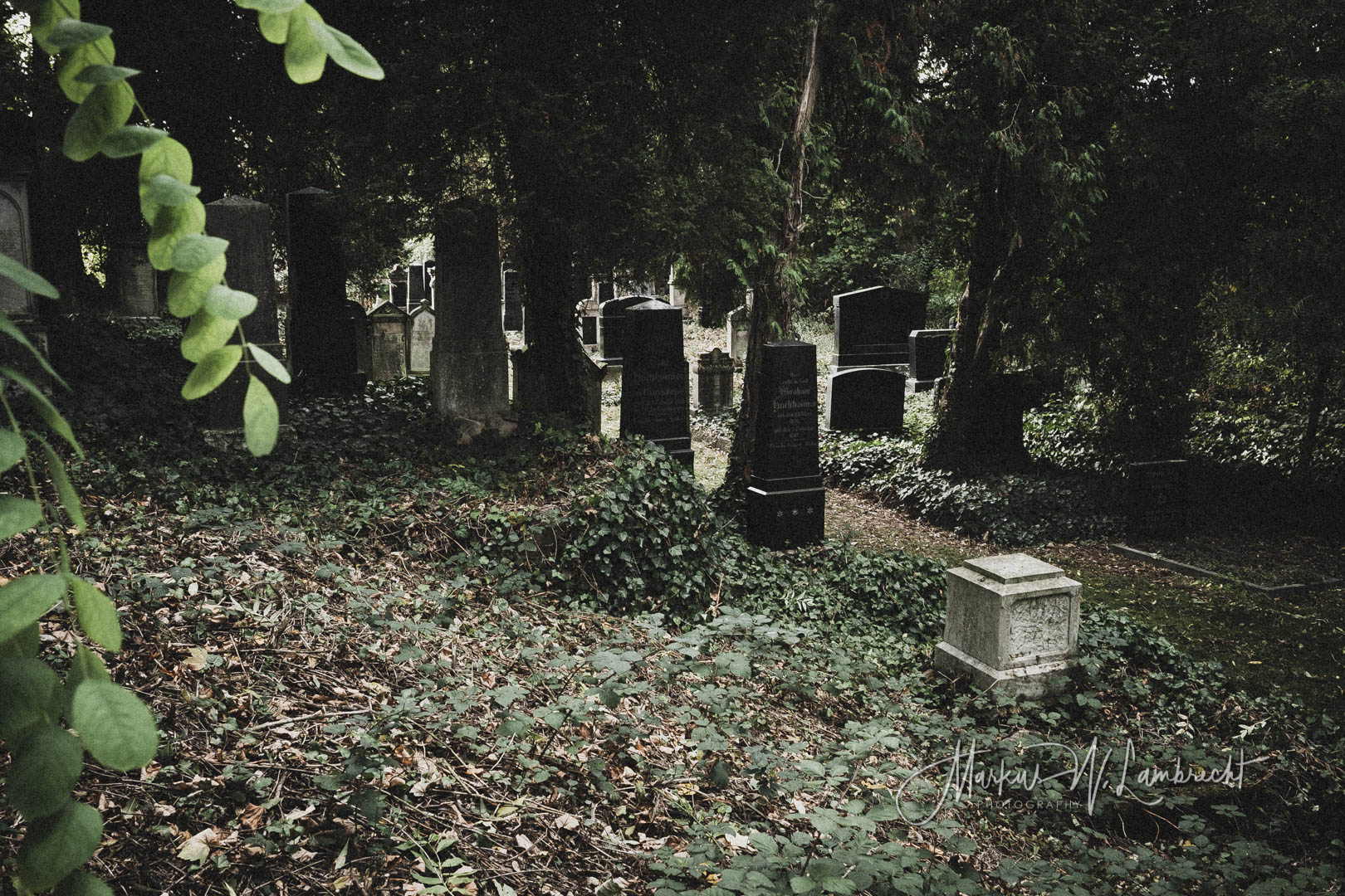 Steinheim (Westfalen), Jüdischer Friedhof
